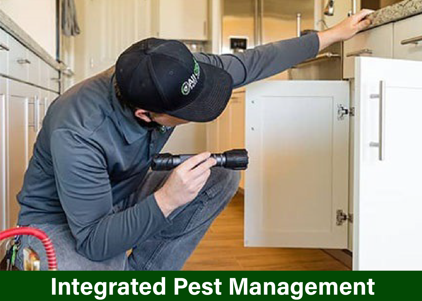 Integrated Pest Management