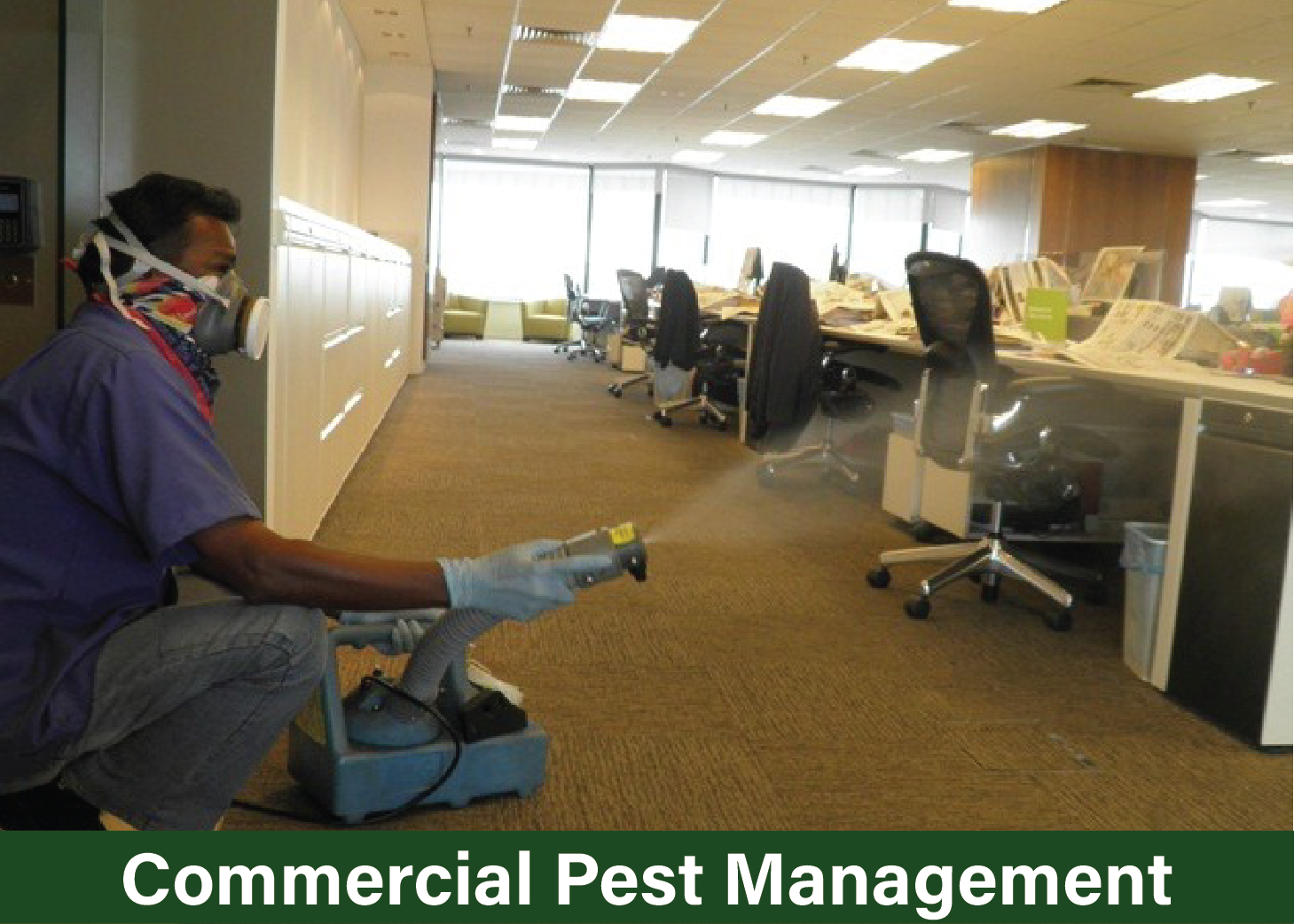 Pestex pest control services in lahore fumigation services