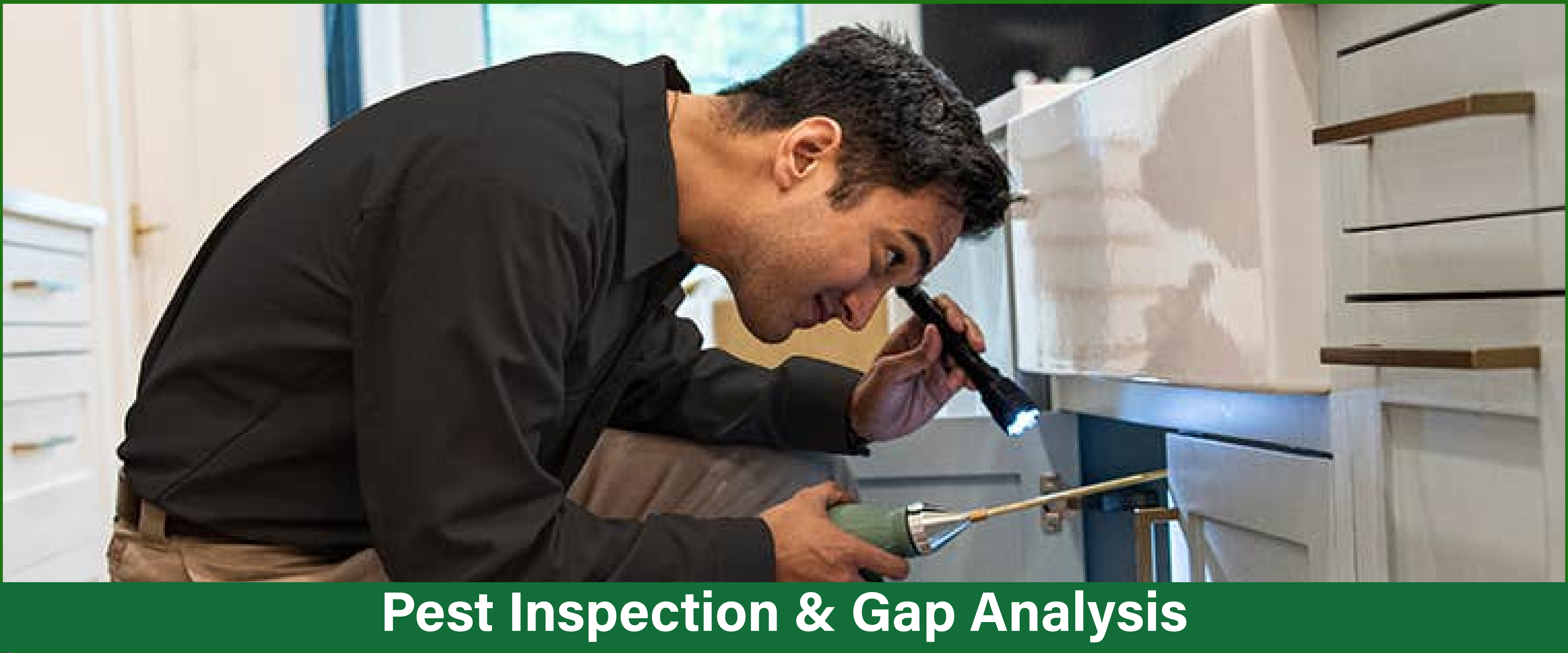 Residential Pest Management