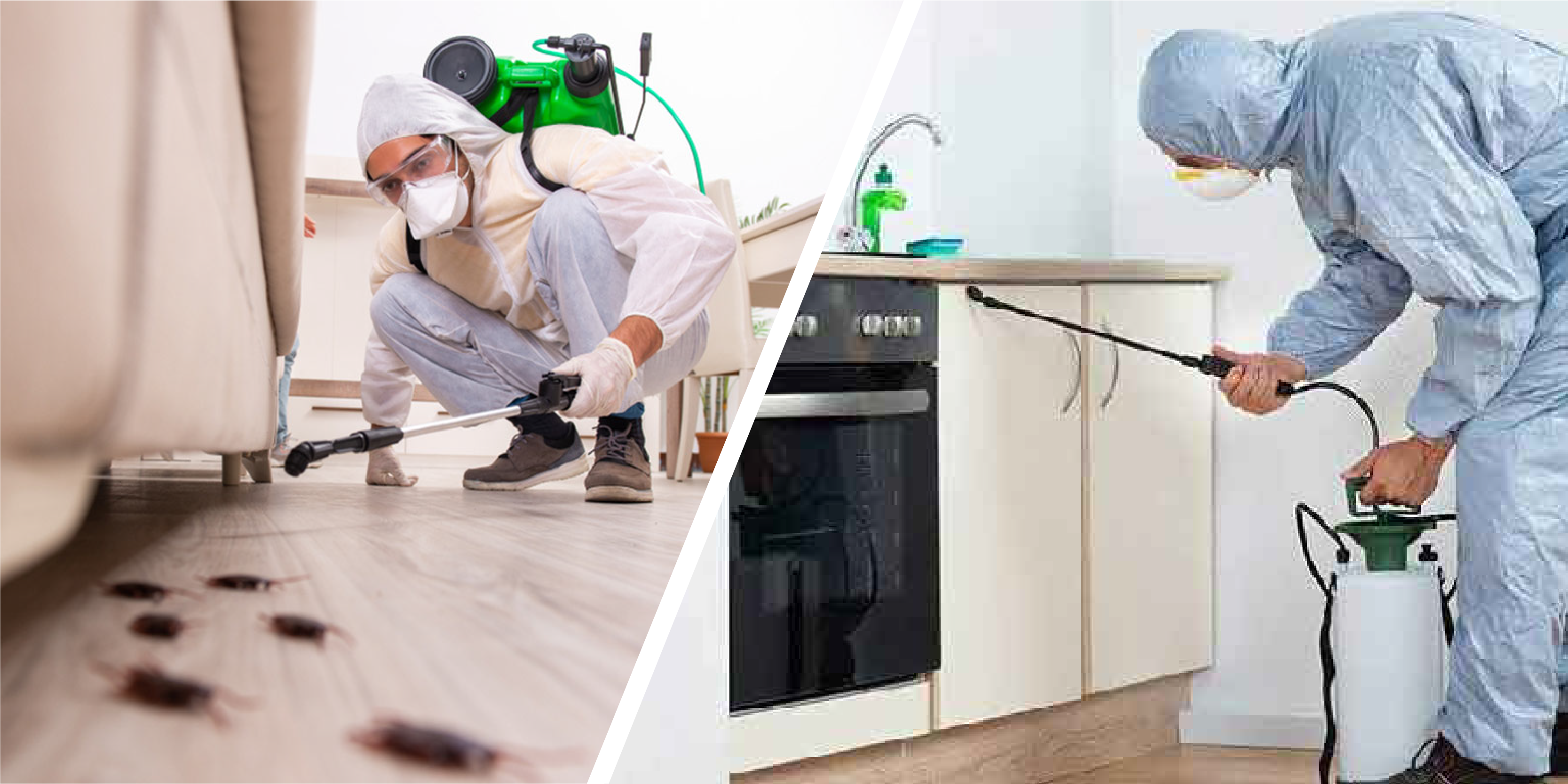 Residential Pest Management