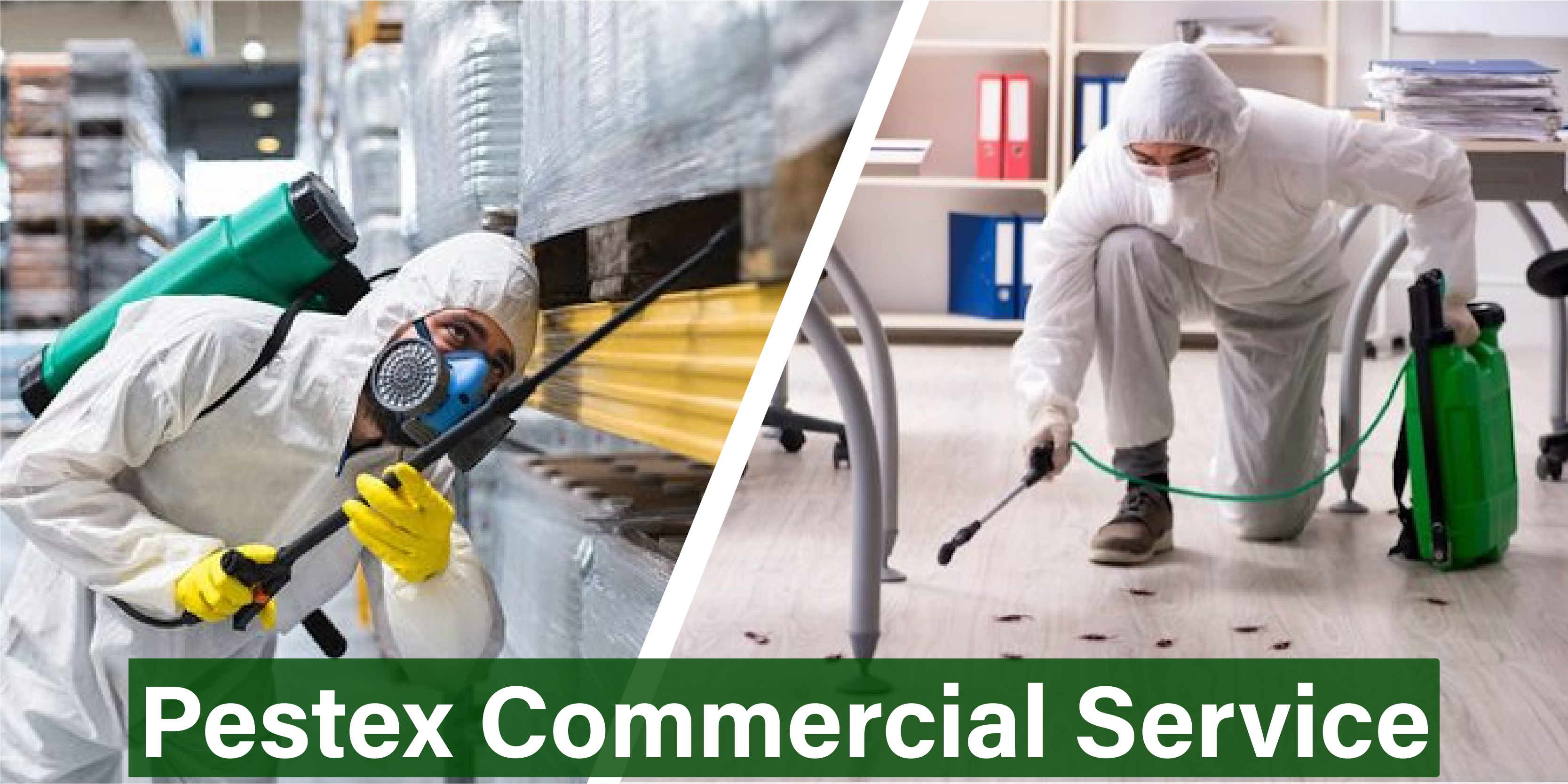 Commercial Pest Management