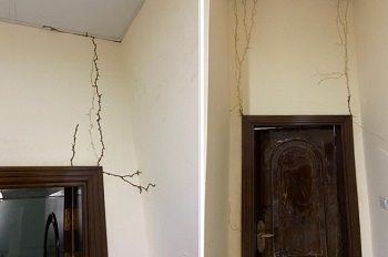Termite Control